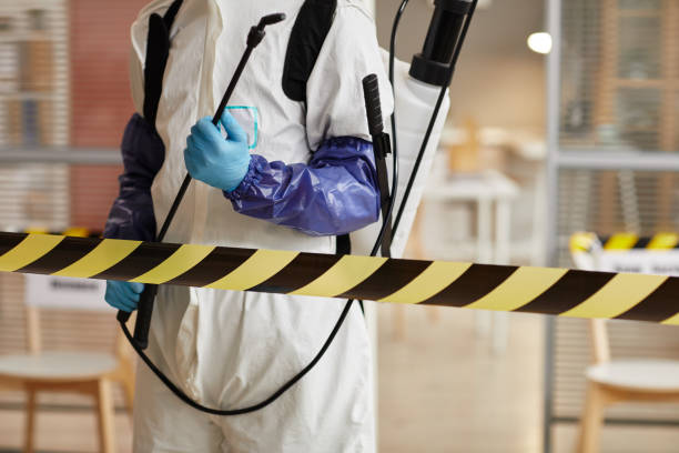 Professional Hoarding Cleanup technician working in Mineola, NY